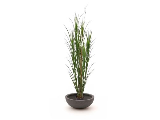 Designplants/Luca Lifestyle Rietgras kunstplant (h:165cm) met Terreno Bowl bloempot - Groen (UV Bestendig) (bloempot = Ash Brown)