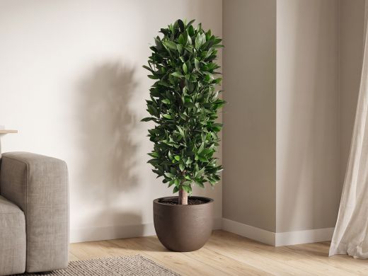 Designplants/Luca Lifestyle Laurier kolom kunstplant (h:125cm) met Terreno New Egg bloempot - Groen (UV bestendig) (bloempot = Ash Brown)