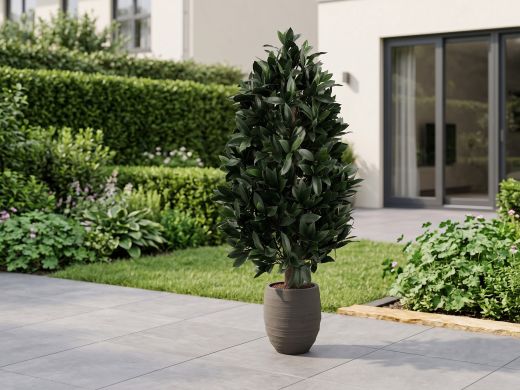 Designplants/Luca Lifestyle Laurier pyramide kunstplant (h:150cm) met Bordo Tall Balloon bloempot - Groen (UV bestendig) (bloempot = Clay)