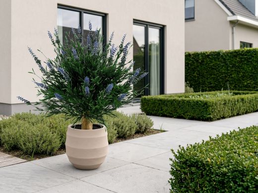 Designplants/Luca Lifestyle Lavendel bol kunstplant (h:60cm) met Bordo Balloon bloempot - Blauw (UV bestendig) (bloempot = Sand)