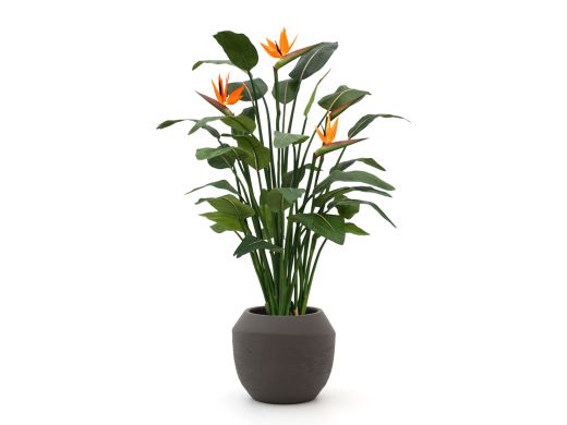 Designplants/Luca Lifestyle Strelitzia kunstplant (h:145cm) met Ruvido Combi bloempot