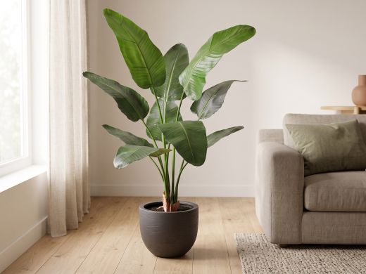 Designplants/Luca Lifestyle Strelitzia Nicolai kunstplant (h:145cm) met Terreno New Egg bloempot - Groen (bloempot = Ash Brown)