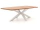 Bellagio Induno Deens Ovaal dining tuintafel 240x120cm
