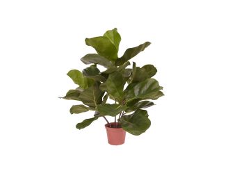 Designplants/Luca Lifestyle Lyrata kunstplant (h:45cm) met Bordo Balloon bloempot - Groen (bloempot = Clay)