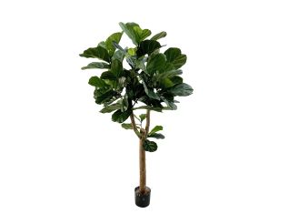 Designplants/Luca Lifestyle Lyrata Y kunstboom (h:170cm) met Ruvido Organic bloempot - Groen (bloempot = Sand)