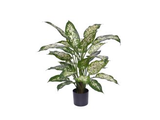 Designplants/Luca Lifestyle Dieffenbachia kunstplant (h:60cm) met Bordo Balloon bloempot - Groen (bloempot = Clay)