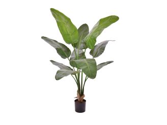Designplants/Luca Lifestyle Strelitzia Nicolai kunstplant (h:145cm) met Grigio Tall Balloon bloempot - Groen (bloempot = Antique White)