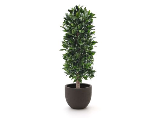 Designplants/Luca Lifestyle Laurier kolom kunstplant (h:125cm) met Terreno New Egg bloempot - Groen (UV bestendig) (bloempot = Ash Brown)