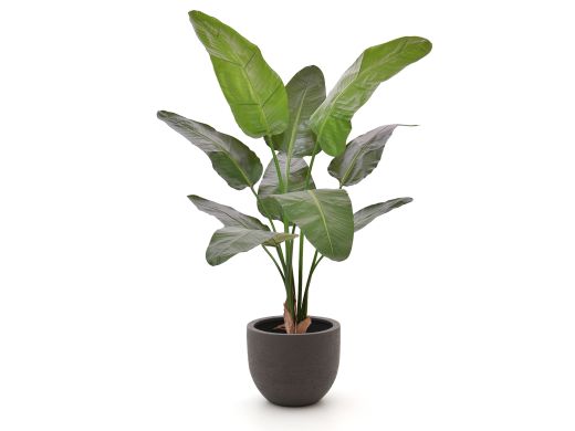Designplants/Luca Lifestyle Strelitzia Nicolai kunstplant (h:145cm) met Terreno New Egg bloempot - Groen (bloempot = Ash Brown)