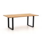 Apple Bee Condor dining tuintafel 190x95x75cm