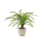 Designplants/Luca Lifestyle Alsophillia varen kunstplant (h:80cm) met Grigio New Egg bloempot