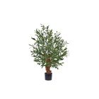 Designplants Olijf Bonsai kunstplant (h:90cm)