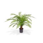 Designplants Alsophillia varen kunstplant (h:80cm)