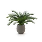 Designplants/Luca Lifestyle Cycas palm kunstplant (h:60cm) met Bordo Balloon bloempot