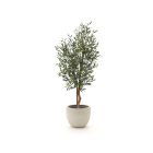 Designplants/Luca Lifestyle Olijf kunstboom (h:150cm) met Grigio New Egg bloempot