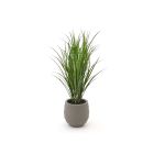 Designplants/Luca Lifestyle Rietgras kunstplant (h:100cm) met Bordo Balloon bloempot