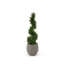 Designplants/Luca Lifestyle Buxus spiraal kunstboom (h:100cm) met Bordo Balloon bloempot