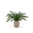 Designplants/Luca Lifestyle Cycas palm kunstplant (h:60cm) met Terreno Tall Balloon bloempot