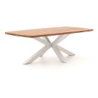 Bellagio Induno Deens Ovaal dining tuintafel 220x110cm