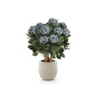Designplants/Luca Lifestyle Hortensia kunstplant (h:80cm) met Grigio Balloon bloempot