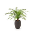 Designplants/Luca Lifestyle Alsophillia varen kunstplant (h:80cm) met Terreno Tall Balloon bloempot
