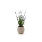 Designplants/Luca Lifestyle Lavendel kunstplant (h:50cm) met Bordo Balloon bloempot