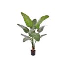 Designplants Strelitzia Nicolai kunstplant (h:145cm)