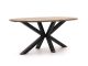 ROUGH-Y Ellips high dining tuintafel 240x120cm