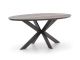 Bellagio Fidenza dining tuintafel ovaal 180x103cm