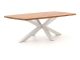 Bellagio Induno Deens Ovaal dining tuintafel 220x110cm