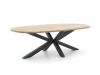 Bellagio Panaro/ROUGH-Y Ellips 240cm dining tuinset 7-delig stapelbaar