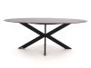 Manifesto Rivola/Furato ellips 200cm dining tuinset 7-delig