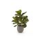 Designplants/Luca Lifestyle Lyrata kunstplant (h:45cm) met Bordo Balloon bloempot