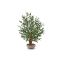 Designplants/Luca Lifestyle olijf Bonsai kunstplant (h:90cm) met Terreno Bowl bloempot