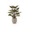 Designplants/Luca Lifestyle Red Calathea Makoyana kunstplant (h:60cm) met Bordo Balloon bloempot