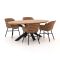 Hartman Delphine/Stephanie 200cm dining tuinset 5-delig
