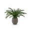Designplants/Luca Lifestyle Cycas palm kunstplant (h:60cm) met Bordo Balloon bloempot