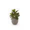 Designplants/Luca Lifestyle Lyrata kunstplant (h:45cm) met Bordo Balloon bloempot