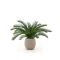 Designplants/Luca Lifestyle Cycas palm kunstplant (h:60cm) met Terreno Tall Balloon bloempot