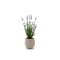 Designplants/Luca Lifestyle Lavendel kunstplant (h:50cm) met Bordo Balloon bloempot