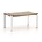 ROUGH-S dining tuintafel 160x90x76cm