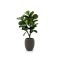 Designplants/Luca Lifestyle Lyrata Y kunstboom (h:130cm) met Terreno Tall Balloon bloempot