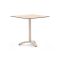 Bellagio Lisio tuintafel 70x70x73cm
