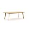 Apple Bee Martinique dining tuintafel 250x110x77cm