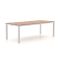 Bellagio Fidenza dining tuintafel 220x100x75cm